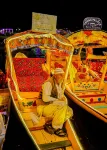 Kharpalace Group of Houseboats - Kolam Renang