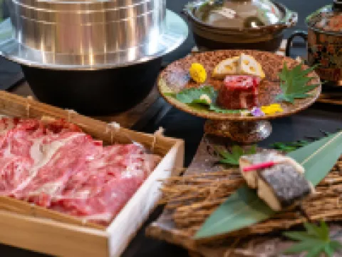 山川温泉 小杉庵 小国町のホテル