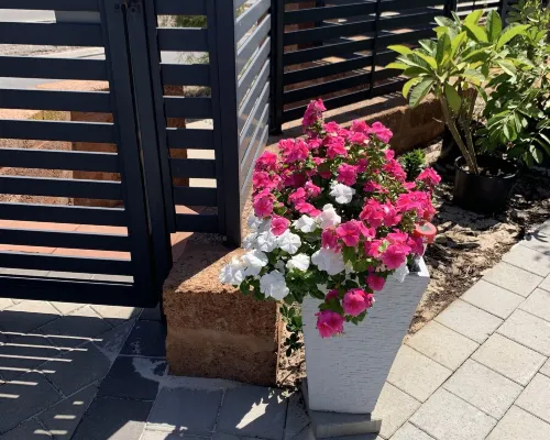 West Swan B&B Hotels in Caversham