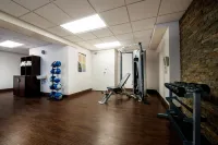 Victoria Inn Hotel and Convention Center Winnipeg - palestra