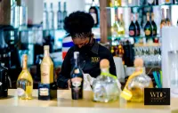 WDC Aparthotel - bar