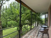 Hotel Sataplia - 2-Star