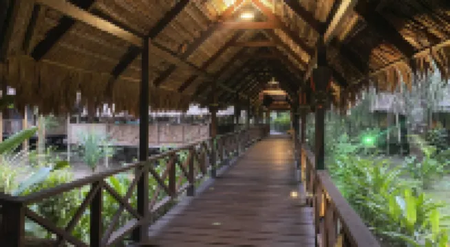 On Vacation Amazon