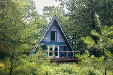 The Blue Jay A Frame