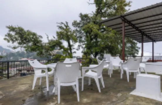 The Whispering Pines