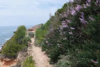 "cala Almendrita" Appartement 2 Chambres + Rooftop