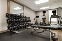 Hampton Inn Gadsden - Gym