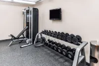 Hilton Garden Inn Detroit-Southfield - Gym