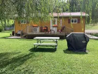 Charming 2-bedroom cabin uwith WiFi, AC in amazing McCarr