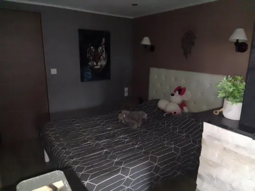 Rent private apartment