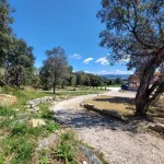 A 8 km dal mare di Castiglioncello. Perfetta combinazione tra natura e vacanza