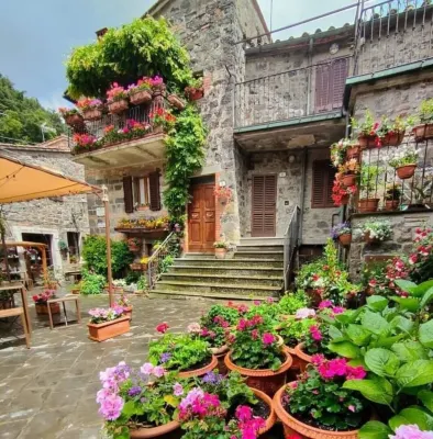 Loft with flowered courtyard in Val d'Orcia Radicofani Hotels in Radicofani