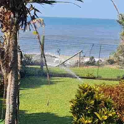 8 Oceans on the Beach 3 B/R Apartment Hotel Exterior