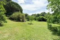 Podere Tepolino: among olive trees, quiet and Monte Amiata