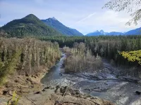 Cozy 40 Acre Homestead Cabin w/ 360 Views + Soaker Tub!