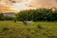 Colombian Dream Getaway with Clay Tennis Court, Swimming Pools, Views and more..