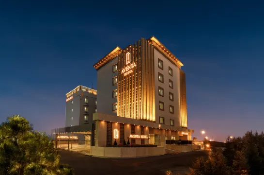 Gyeongju Abenta Hotel