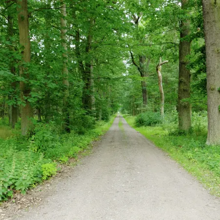 Forest Retreat Near Berlin