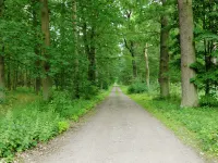 Forest Retreat Near Berlin - Hot Tub