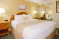 더 폰드 앳 폭스홀로