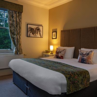 Classic Double Room Forest Park Hotel Promo Code
