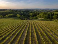 Farmhouse in Tuscany with Pool & Wine Tasting