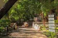 Chobe Safari Lodges Hotel a 