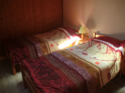 Apartment in Chatel near Chairlift