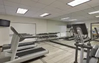 Holiday Inn GRAND RAPIDS - AIRPORT by IHG - Gym