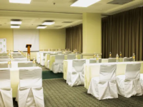 萊昂智選假日酒店 萊昂酒店