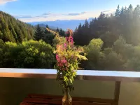 Le Vernon N 406 - ST5 Hotels in Chamrousse