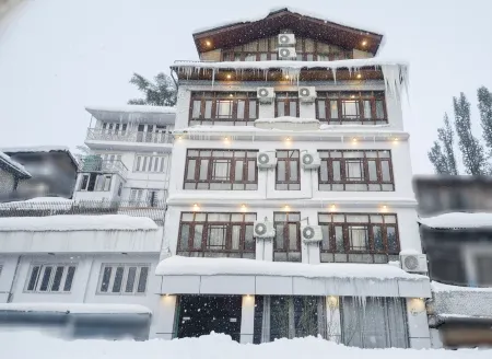 Hotel de Apple Отели в г. Шринагар