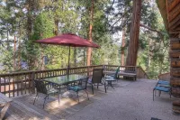 Zephyr Cabin 3 Bedroom Home by RedAwning