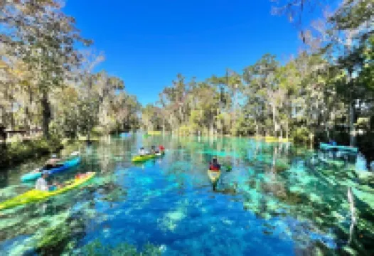 NEW Listing Discount! • Near Manatees & Springs