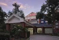 東坦帕/布蘭登希爾頓花園酒店 - 3星級