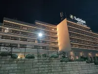 ホテル サルデー のホテル