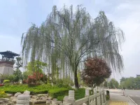 Miaojie Homestay (Hanxing Road)
