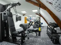 Hôtel de Bourbon - Mercure Bourges - С тренажерным залом