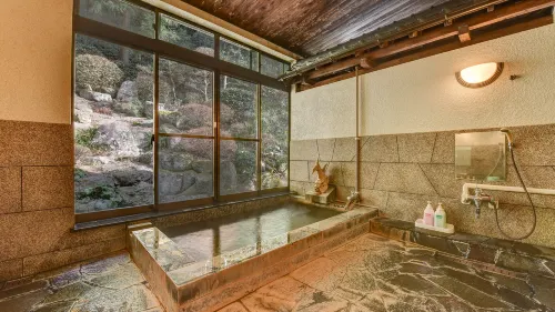 Yuzako Onsen Ryokan - 3-Star