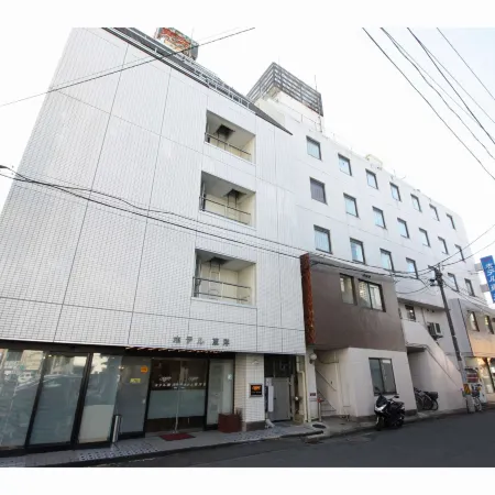 Hotel Toyo