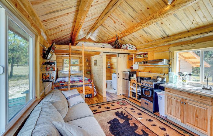 Trout Creek Tiny House w/ Mtn Views & Fireplace