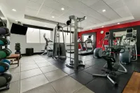 DoubleTree by Hilton Queretaro - Gym