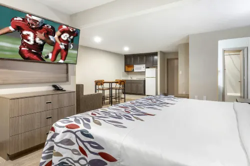 Red Roof Inn & Suites Newport News - Motels