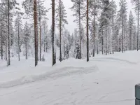 Ilves - 3-Star
