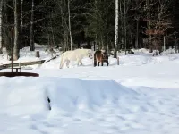 Billerhof Hotels in Zachenberg