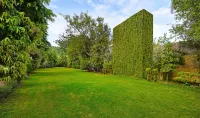 The Fern Ranthambore Forest Resort Rajasthan Hotels near Vijay Mava Bhandar