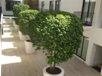 The Tides Hotel Boracay