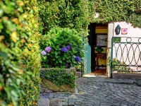 Independent Apartment n 2 in an Old Mansion Located by the Mouth of Douro River Hotels in Foz do Douro