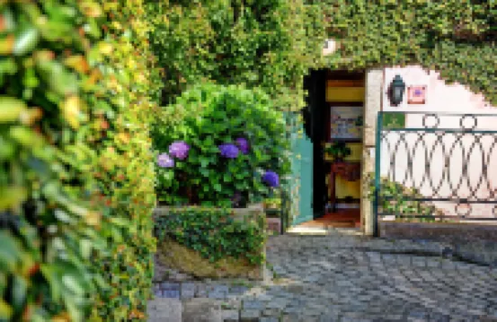 Independent Apartment n 2 in an Old Mansion Located by the Mouth of Douro River