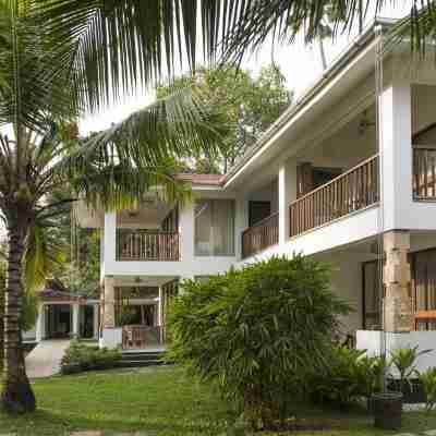 Purity at Lake Vembanad Hotel Exterior